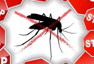 Καλοκαίρι ΧΩΡΙΣ κουνούπια: Με αυτό το ΜΟΝΑΔΙΚΟ ΚΟΛΠΟ θα τα διώξετε οριστικά!